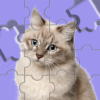 Jigsaw Puzzle Brain Puzzles icon