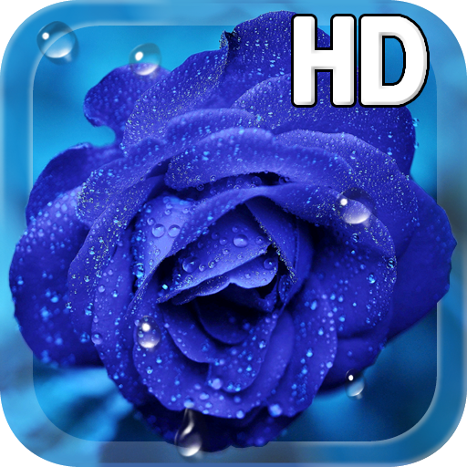 Blue Rose Drops LWP icon