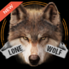 Lone Wolf Wallpaper lock screen: Wolves Wallpapers icon