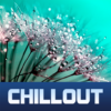 ChillOut Record Live Stations icon