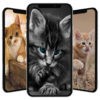 Cute Cat Wallpaper icon