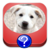 Dog Breeds Quiz icon