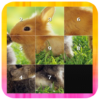 Slide Puzzle Animal icon