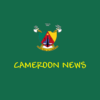 Cameroon News App icon