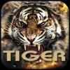 Tiger icon