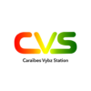 c.v.s icon