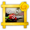 Sher O Shayari icon