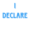 IDeclare icon