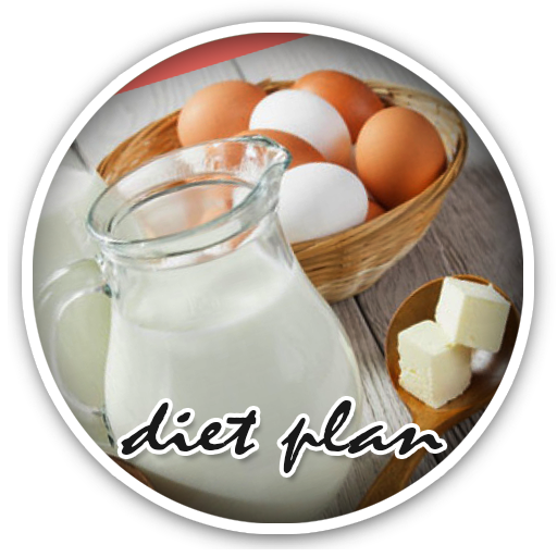 Bodybuilding Diet Plan Guide icon