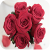 Rosas con Amor icon