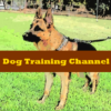 Dog Training Channel icon