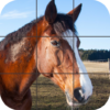 Beautiful Horses Puzzle icon