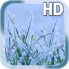 Winter Grass LWP Free icon