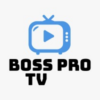 Boss pro icon