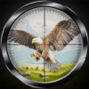 Bird Hunting Simulator 2022 icon