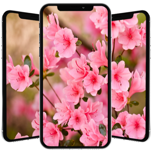 Spring Wallpaper 🌸 🌹 🌺 🌻 🌼 🌷 icon