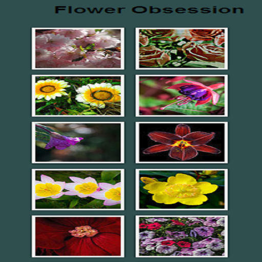 Flower Obsession icon