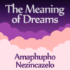 ZULU Meaning Dreams Dictionary icon