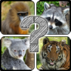 Guess The Animals: Quiz icon