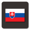 Lightning Launcher Slovak icon