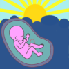 Pregnancy Assistant icon