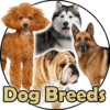 Dog Breeds | The Doggy Dossier icon