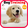 Dog Training icon