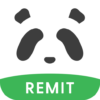 Panda Remit icon