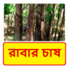 রাবার চাষ ~ Rubber plantation icon