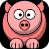 Teacup Pig icon