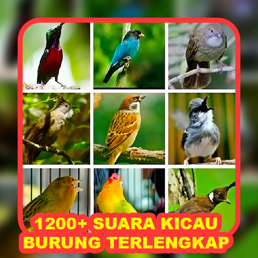 1200+ Suara Kicau Burung MP3 icon