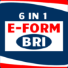 6 in 1 EFORM: BPUM BRI, KUR, PINJAMAN, CEK BANSOS icon