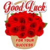 Good Luck Wishes Best Of luck Quote, All the Best icon