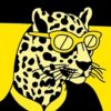 Locarno Film Festival Official icon