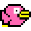 Pinky Bird icon