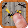 Ant Smasher icon