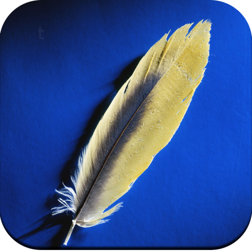 Feather wallpaper icon