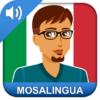 Learn Italian Fast: Course icon