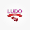 Ludo Mate icon