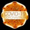 Covid19Map icon