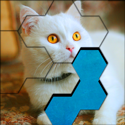 Blocks Hexa Jigsaw Puzzle fun™ icon