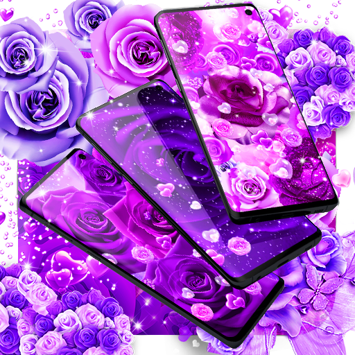 Purple rose live wallpaper icon