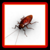 Bug Smash Squash the Insect! icon