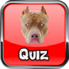 Strong Dogs Quiz Powerful Dog Breeds Trivia Quiz icon