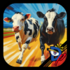 Farm Race icon