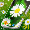 3D Daisy Spring Live Wallpaper icon