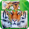 Tigers Jigsaw Puzzle Game icon