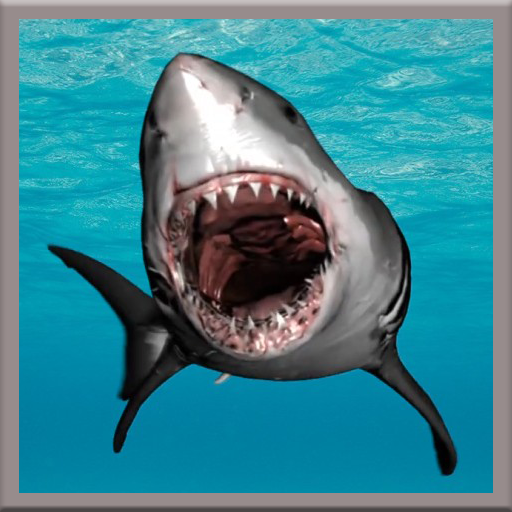 Great White Shark Live Wallpaer icon