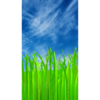 After The Rain Grass Wallpaper icon